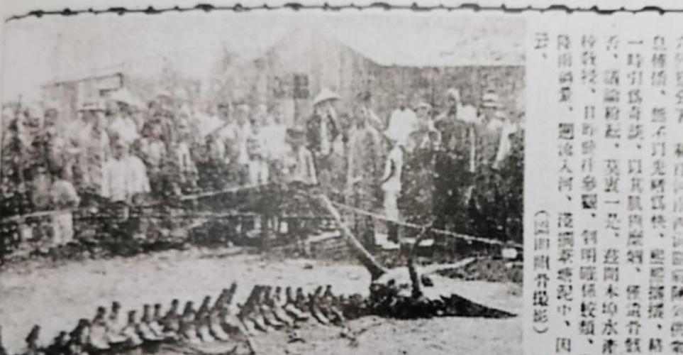 探讨营口坠龙事件的真实性：对“坠龙”的尺寸等特征有详细记载