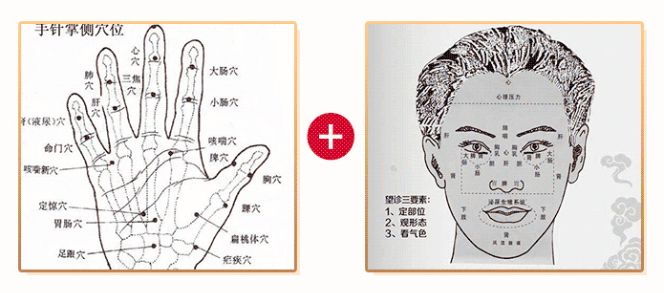 黄帝内经：中医教授带你领会里面的七条精华养生之道-第11张图片-农百科