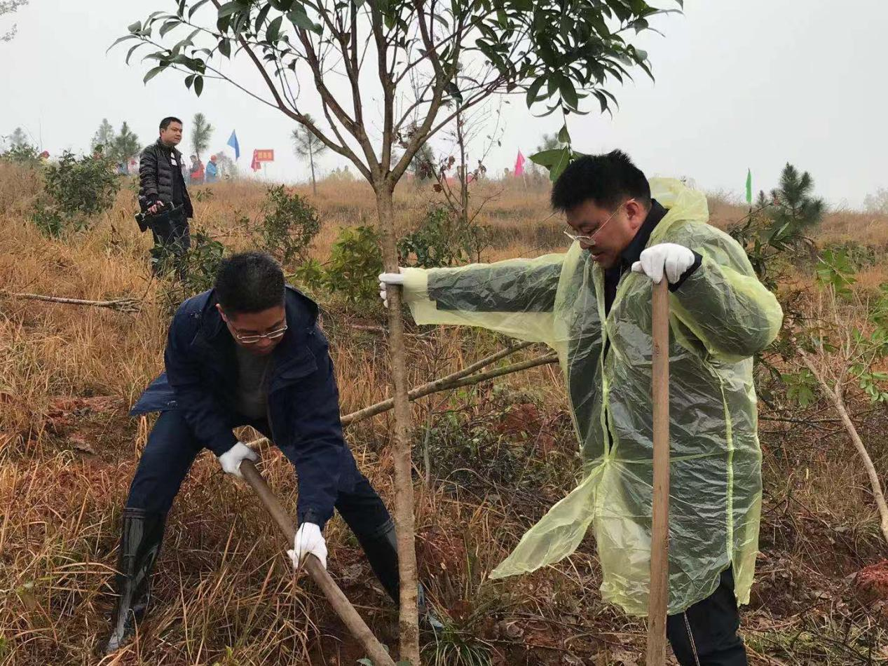 全民植树四十载，大美新邵谱新篇