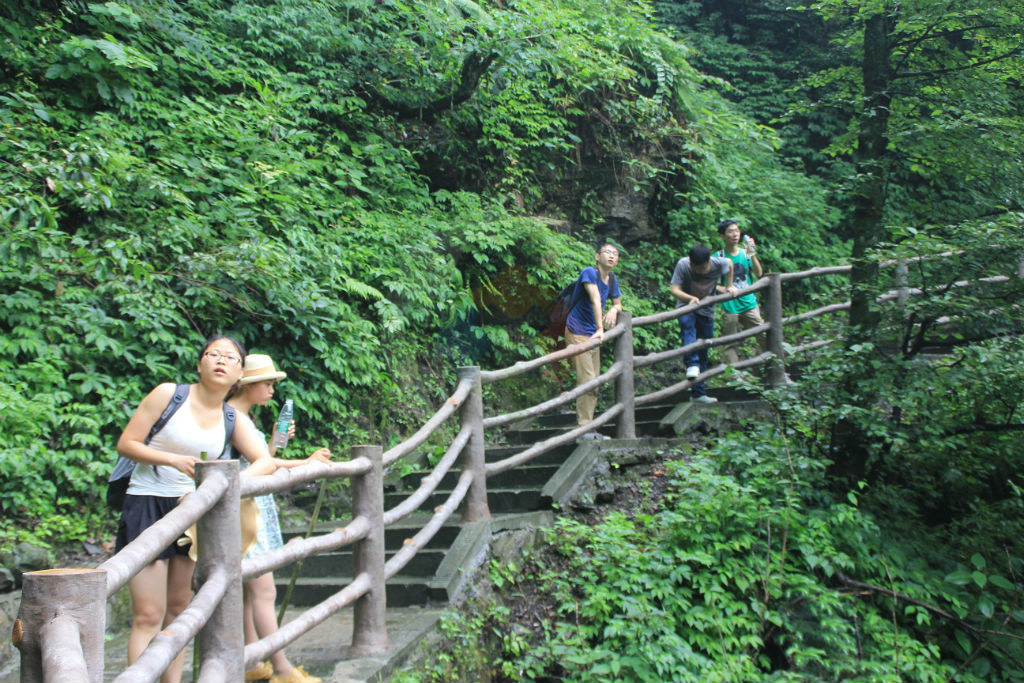 峨眉山旅行日记：徒步攀登太困难，半路还会被猴子“打劫”