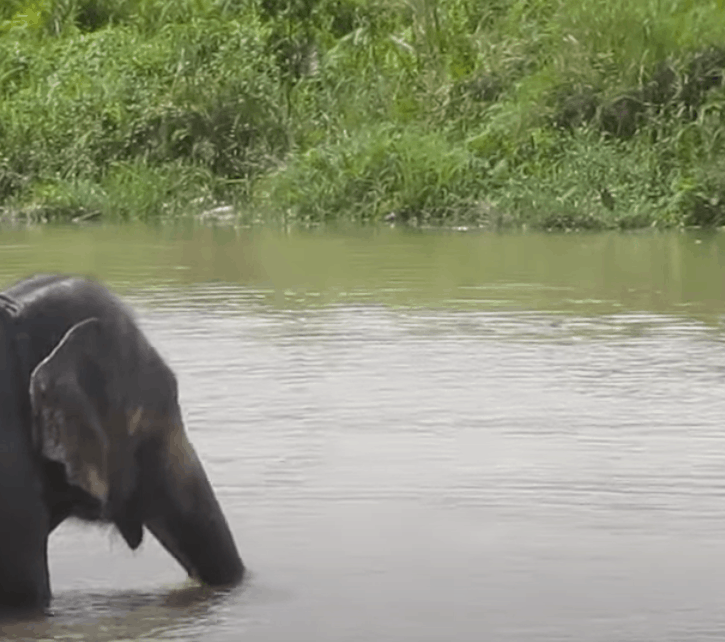 中科大打造“象鼻”机器人，开门、擦玻璃、给女朋友拧瓶盖的那种