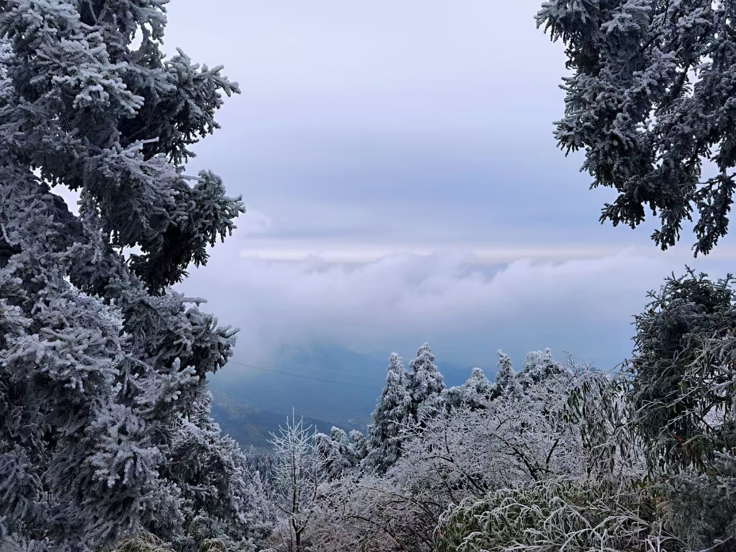 南岳衡山看雾凇雪景攻略，4条路线带你看南岳绝美雾凇