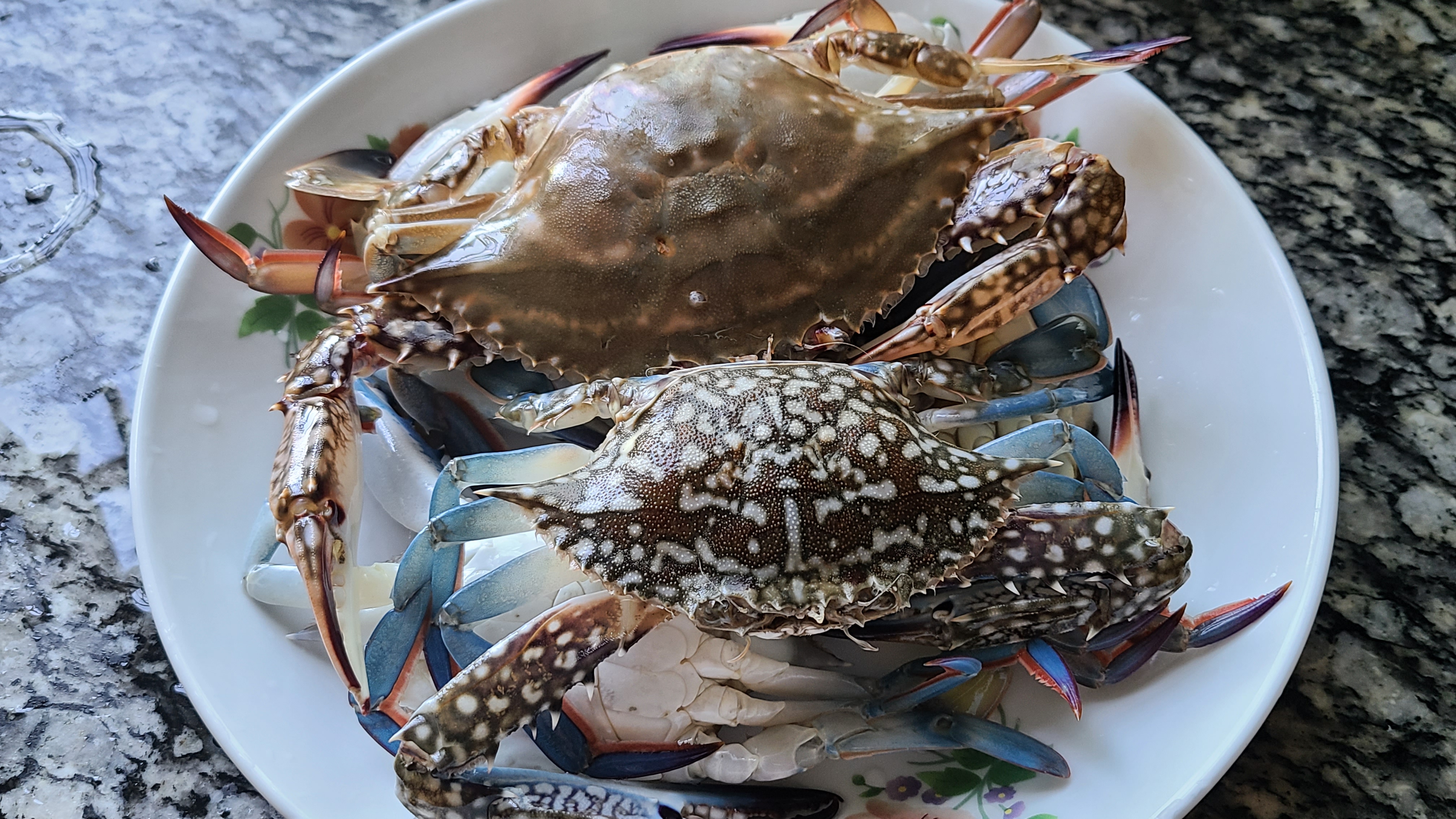 蒜蓉螃蟹的家常做法，很好吃的一道美食，简单美味，想吃就做