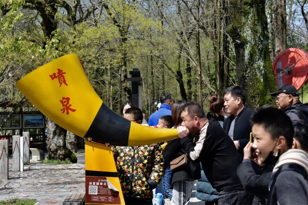 清明小長假，雞公山景區春意盎然，踏青旅行正當時