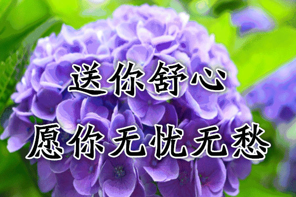送给朋友最美的祝福图片