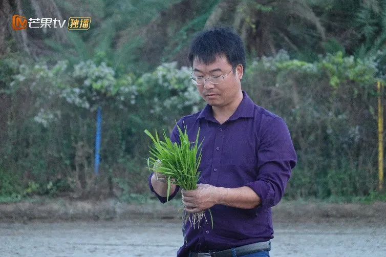 熟悉中发现风景，平凡中诠释闪耀——《闪耀的