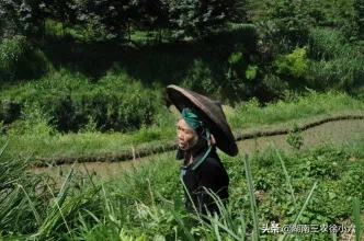 父亲节是怎样来的?中国的父亲节又是哪一天