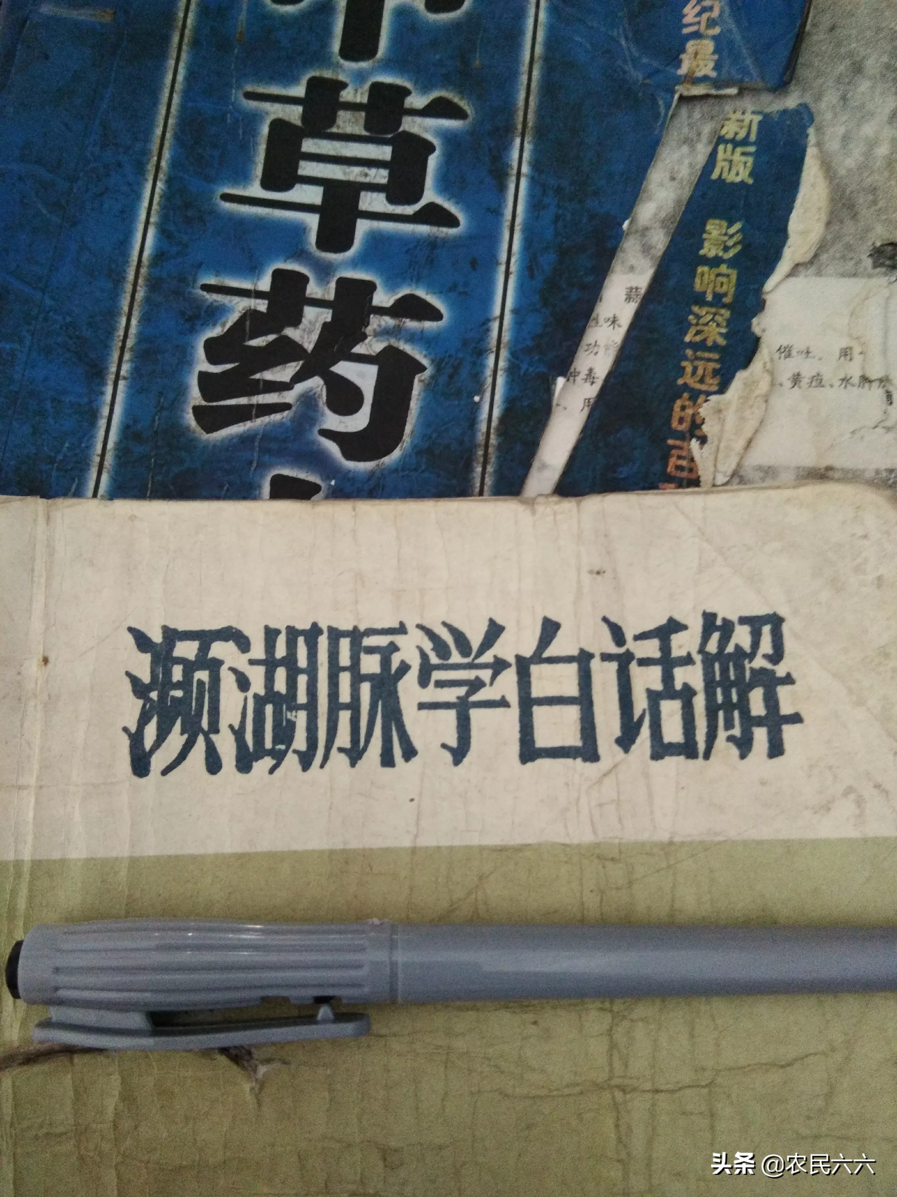 痛风的诊断和中医药治疗