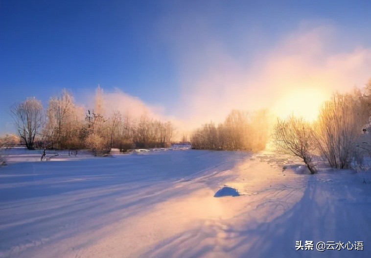 杜甫寒冬赋诗 抒写了一首名作 情感真挚 值得细读 资讯咖