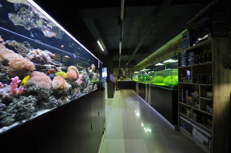 ornamental fish shop