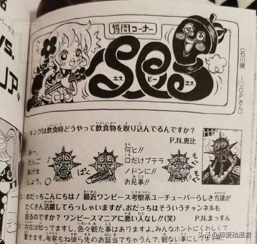 One Piece Volume 101 Sbs Update Oda Reveals Sauron S Life Sauron Is Not The Son Of Shuanggetsu Niumaru Inews