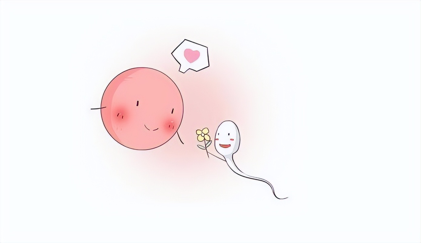 Intercourse 2 days before ovulation is easy to conceive, Japanese