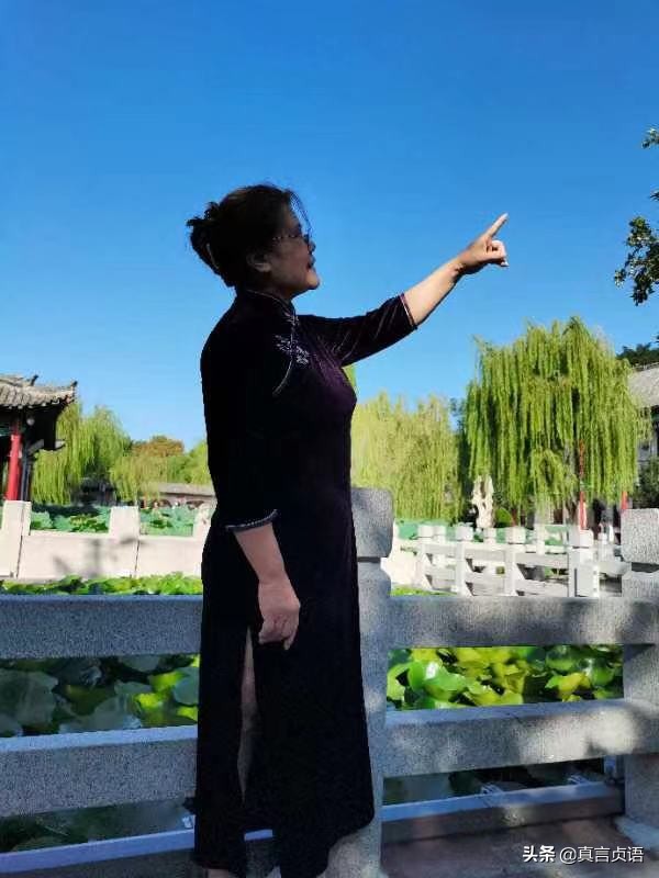 刘继亮原创散文丨冬牡丹 诵读 明媚 资讯咖