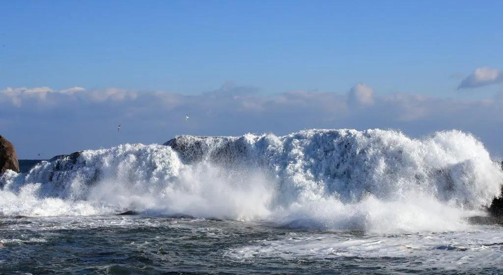 韩半岛近海水温升幅大于全球其他地区 资讯咖