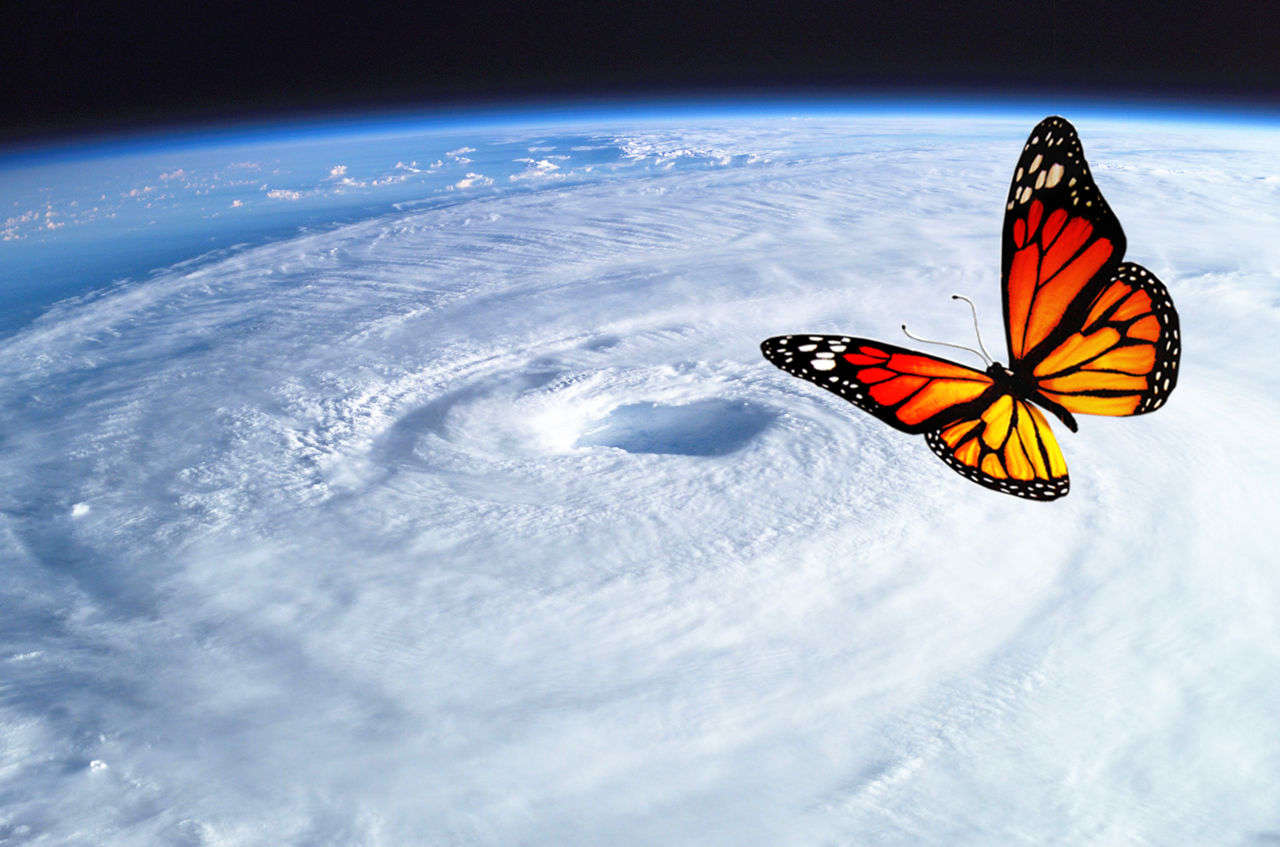 can-a-butterfly-flap-its-wings-really-trigger-a-typhoon-of-magnitude-12