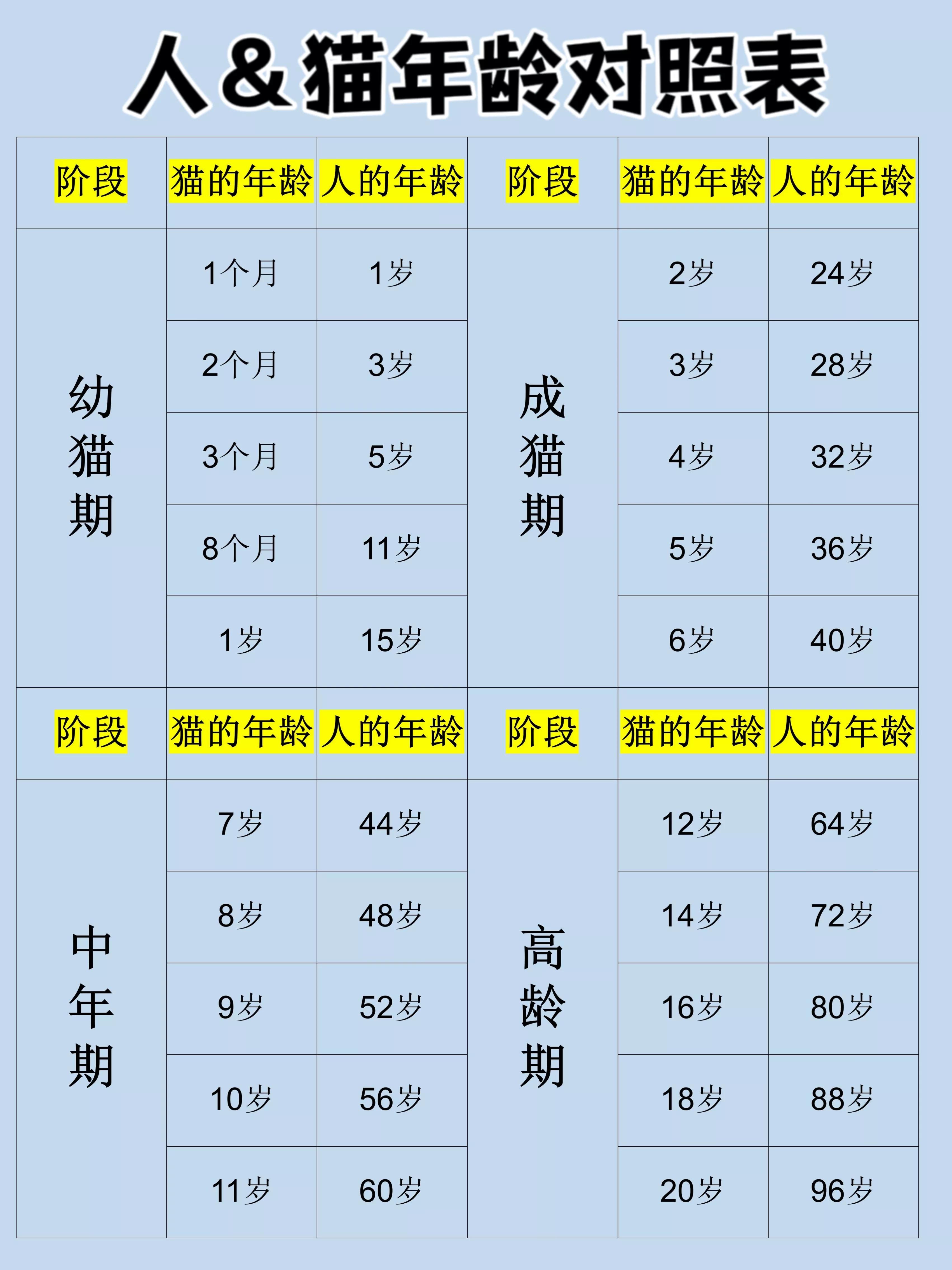 Cat age comparison table, how to feed cats at different stages? iNEWS