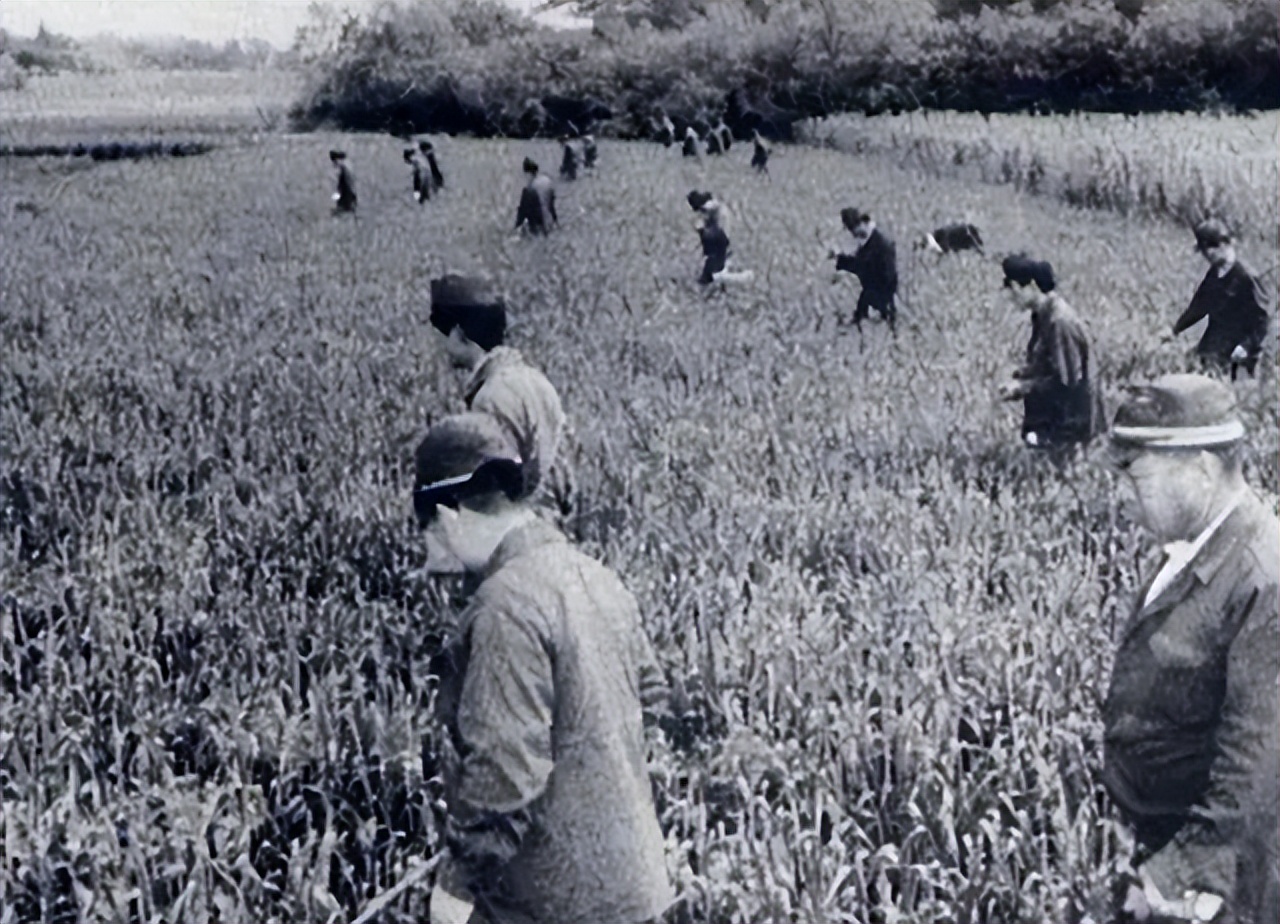 The Sayama Incident in 1963, a 16-year-old girl tragically died in the ...