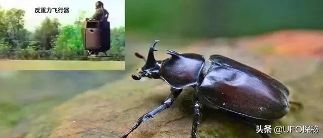 时空穿越 指日可待 科学家发现穿越方法 每一个都颠覆你认知 资讯咖