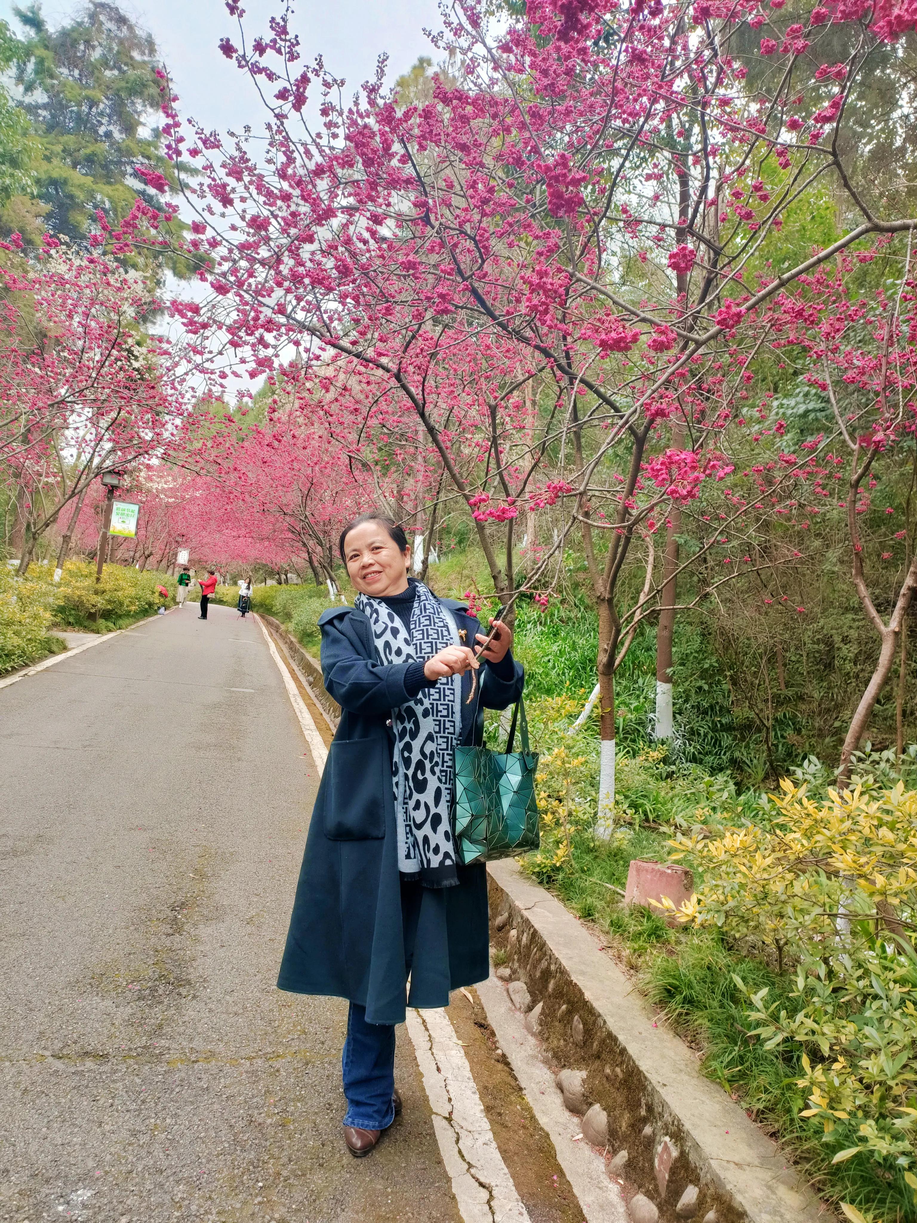 富樂花開結金蘭 資訊咖