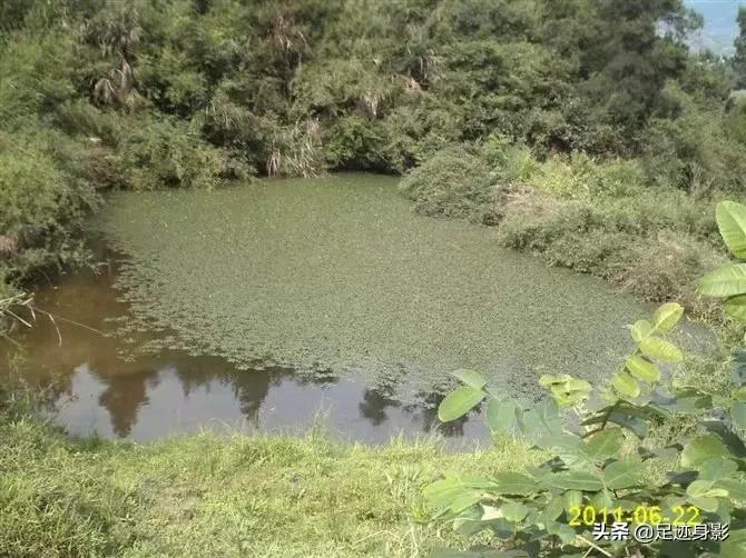 韓非子名言名句 資訊咖 韓非子名言名句 資訊咖