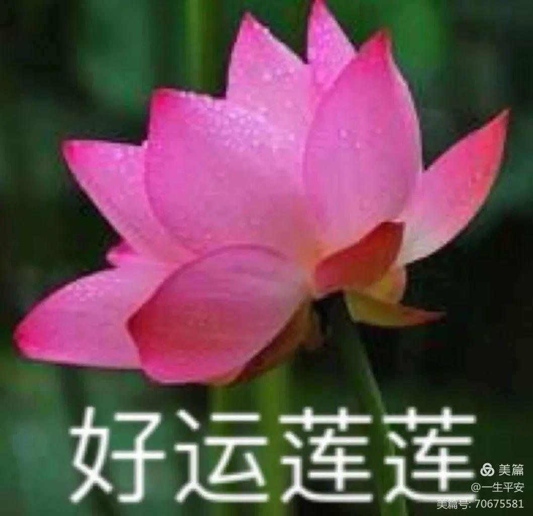 正月十五闹元宵 资讯咖