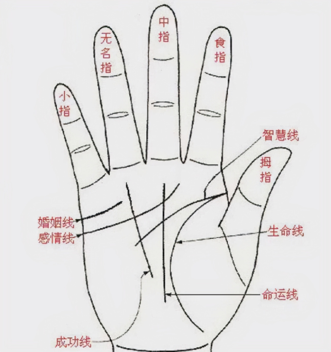 老祖宗識人術：「手上三條玉環紋，人生福祿壽永存」，何為玉環紋