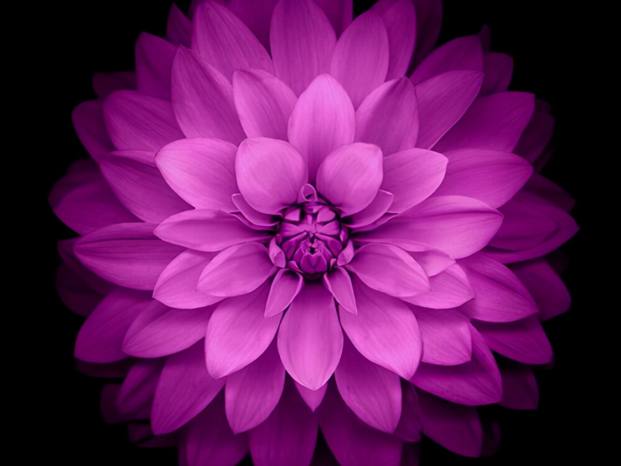 摩羯座的愛很清醒 但遇到這幾個星座 他們不瘋魔不成活 資訊咖 摩羯座的愛很清醒 但遇到這幾個星座 他們不瘋魔不成活 資訊咖