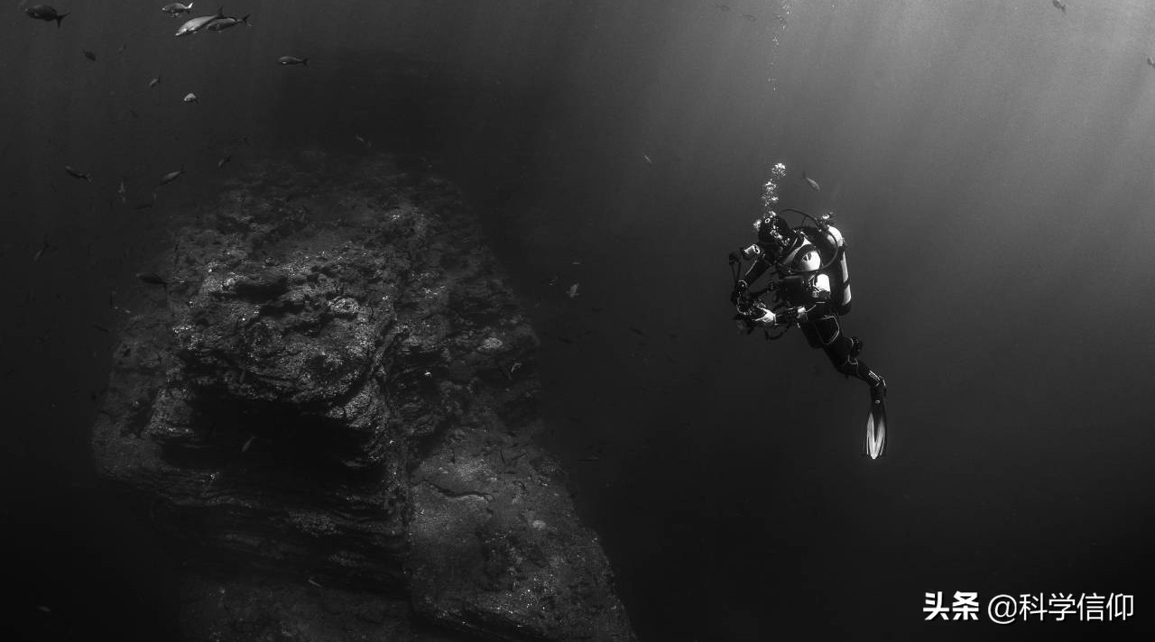 鱼只能在水中呼吸 人只能在陆上呼吸 没有这回事 Mp头条