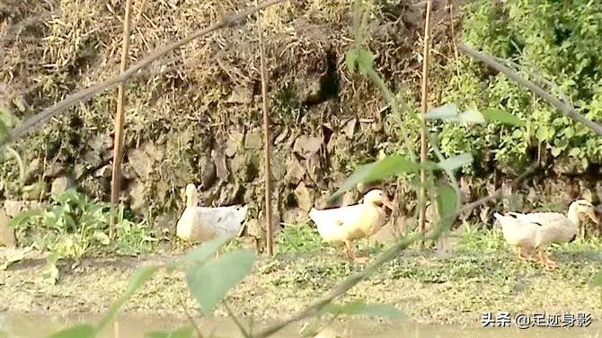 韓非子名言名句 資訊咖 韓非子名言名句 資訊咖