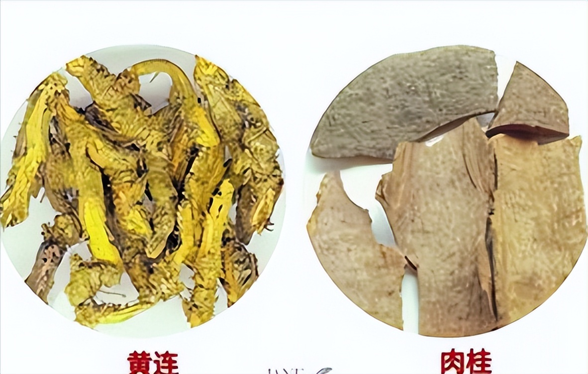 The two herbs can treat upper heat and lower cold, remove deficiency