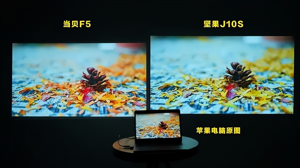 Which Is The Best Home Projector Dangbei F5 And Jmgo J10s Who Is The King Of Flagship Projection Of The Year Inews