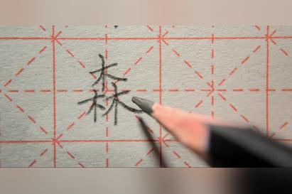 森字怎么写